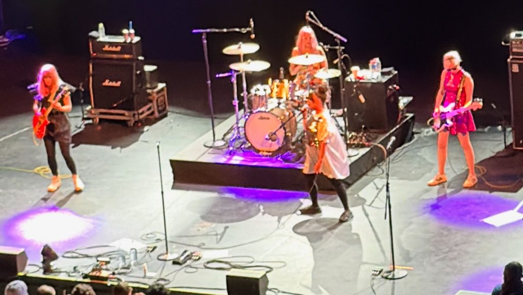 Bikini Kill 